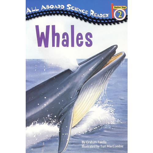 鲸 Whales