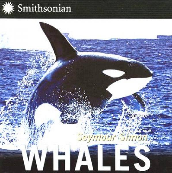 Whales[鲸鱼]