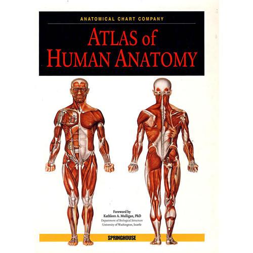 人体解剖图谱atlasofhumananatomy