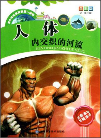 梦境交织，与心仪之人共坐，苹果之喻的深层解析