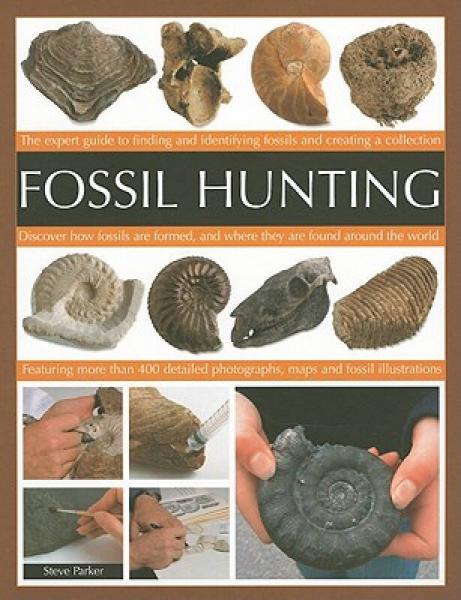 fossilhunting