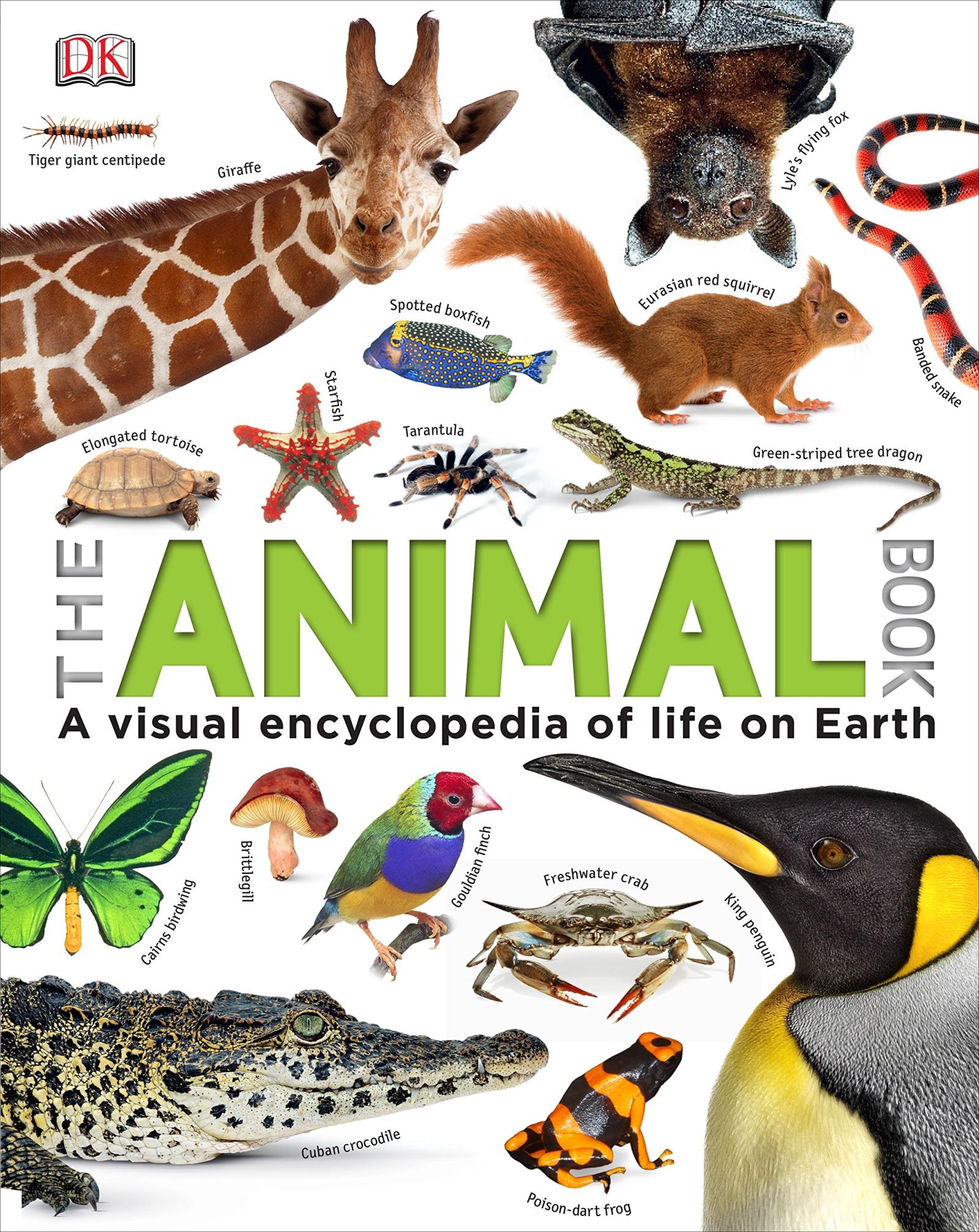 the animal book: a visual encyclopedia of life on