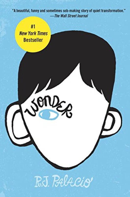 Wonder奇迹男孩 英文原版R J Palacio 著 孔网