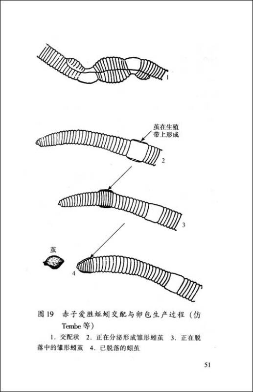 蚯蚓养殖技术(孔网)