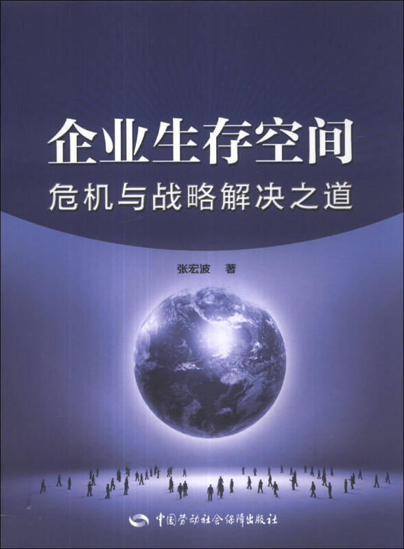 企业生存空间:危机与战略解决之道