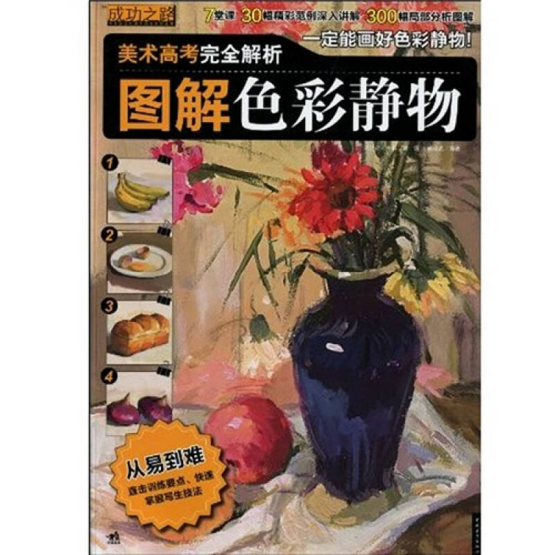 成功之路·中青新世纪美术高考系列丛书·美术高考完全解析:图解色彩