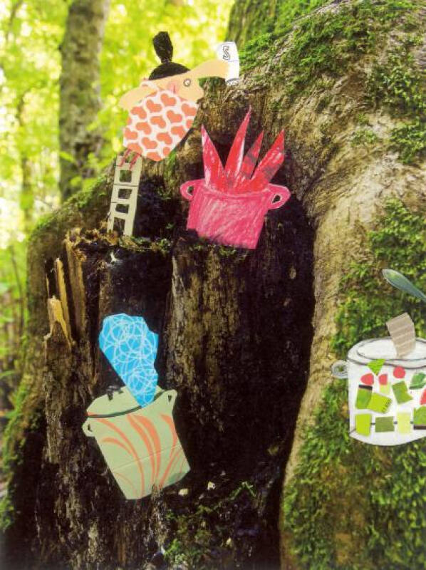 荨麻胡子国王(孔网)