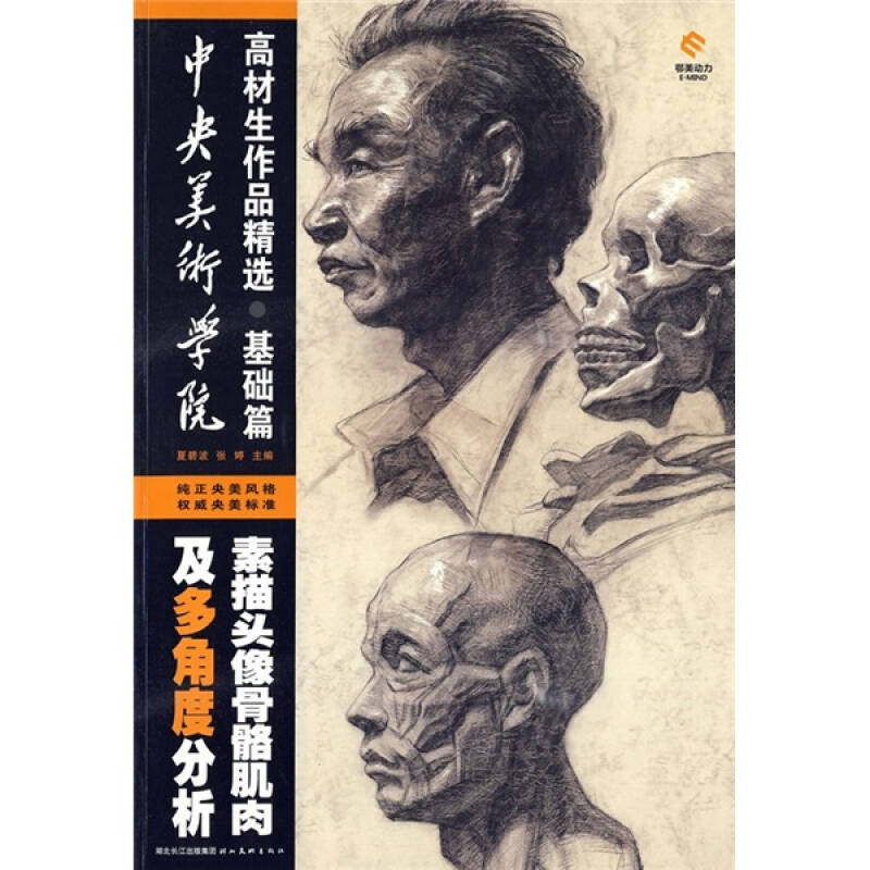 中央美術學院高材生作品精選:素描頭像骨骼肌肉及多角度分析(基礎篇)