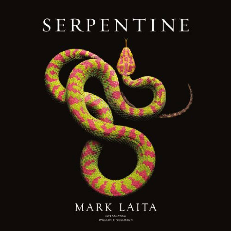 serpentine