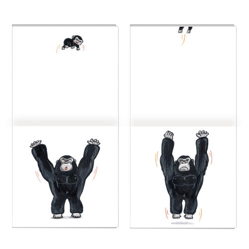 绘本花园:飞高高(精)