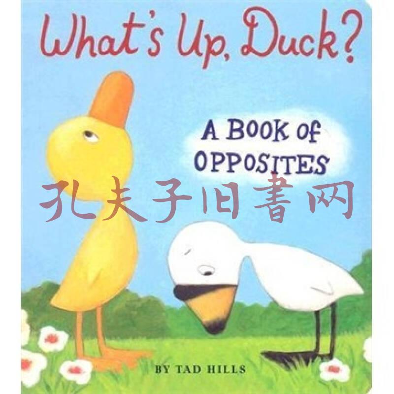 whats up, duck?怎麼了,小鴨子? 英文原版