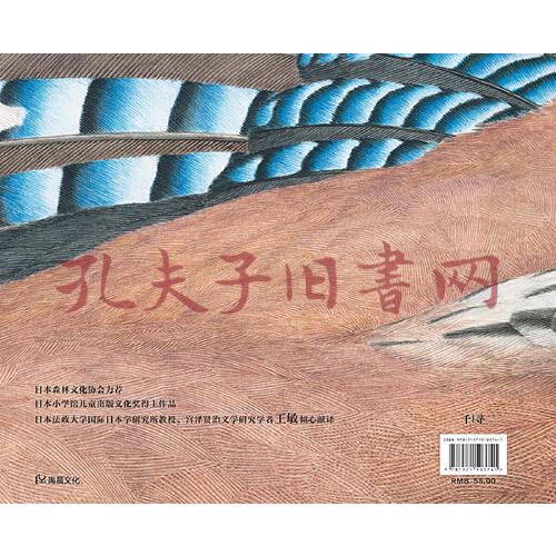 千寻经典宫泽贤治的鸟