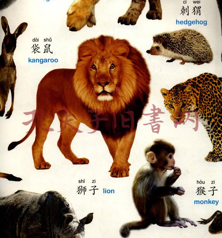 阳光宝贝炫彩挂图:动物世界