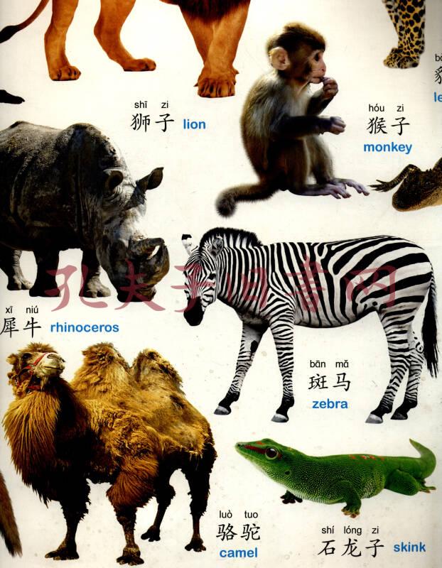 动物世界图片及名字图片