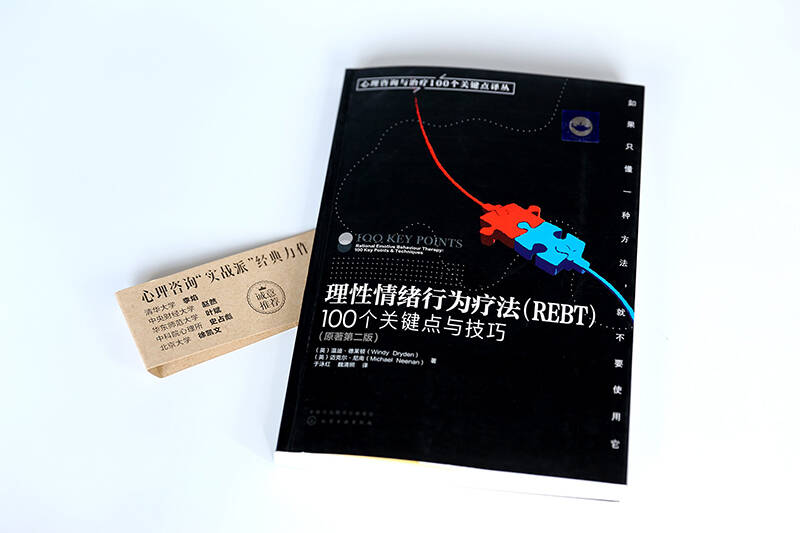 理性情绪行为疗法 rebt100个关键点与技巧(原著第2版)