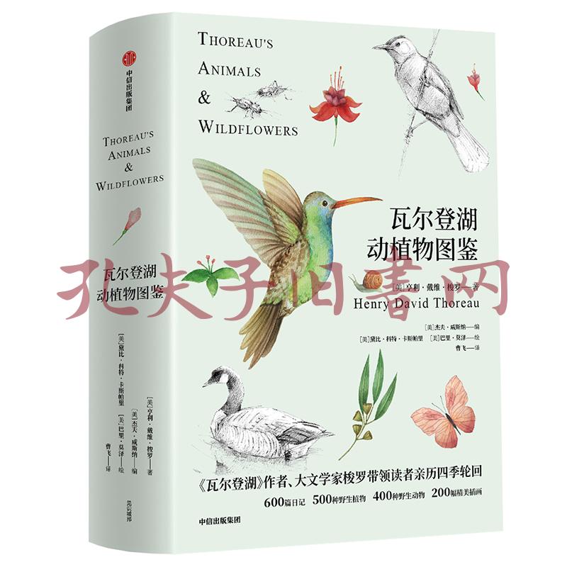 瓦尔登湖动植物图鉴(孔网)