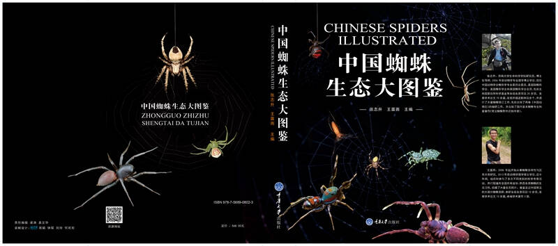 中国蜘蛛生态大图鉴