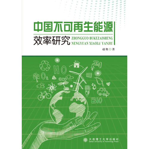 中国不可再生能源效率研究