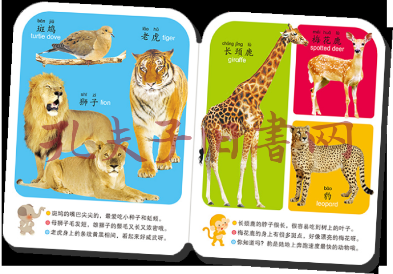 阳光宝贝撕不烂认知全书动物王国