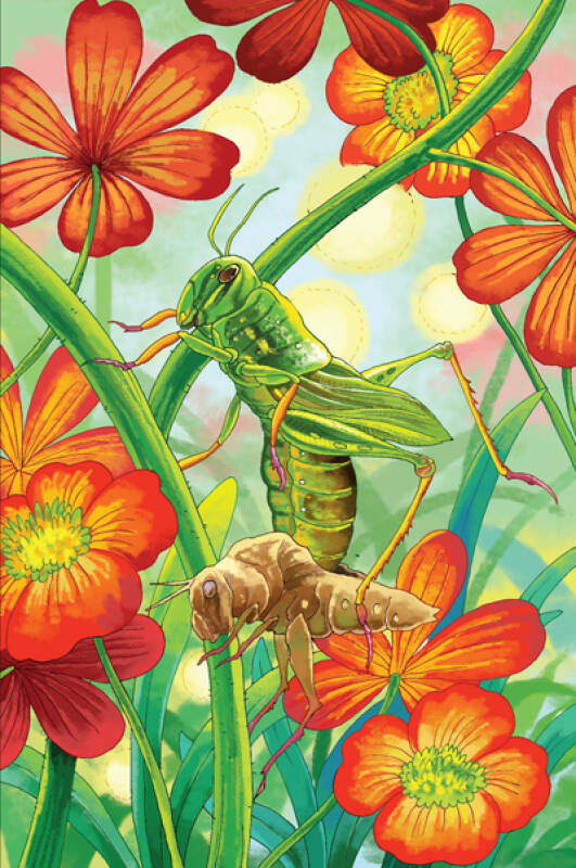 世界经典文学名著博览·经典动物故事馆·昆虫记:世界经典文学名著