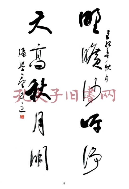 书苑掇英:张学群书法作品集
