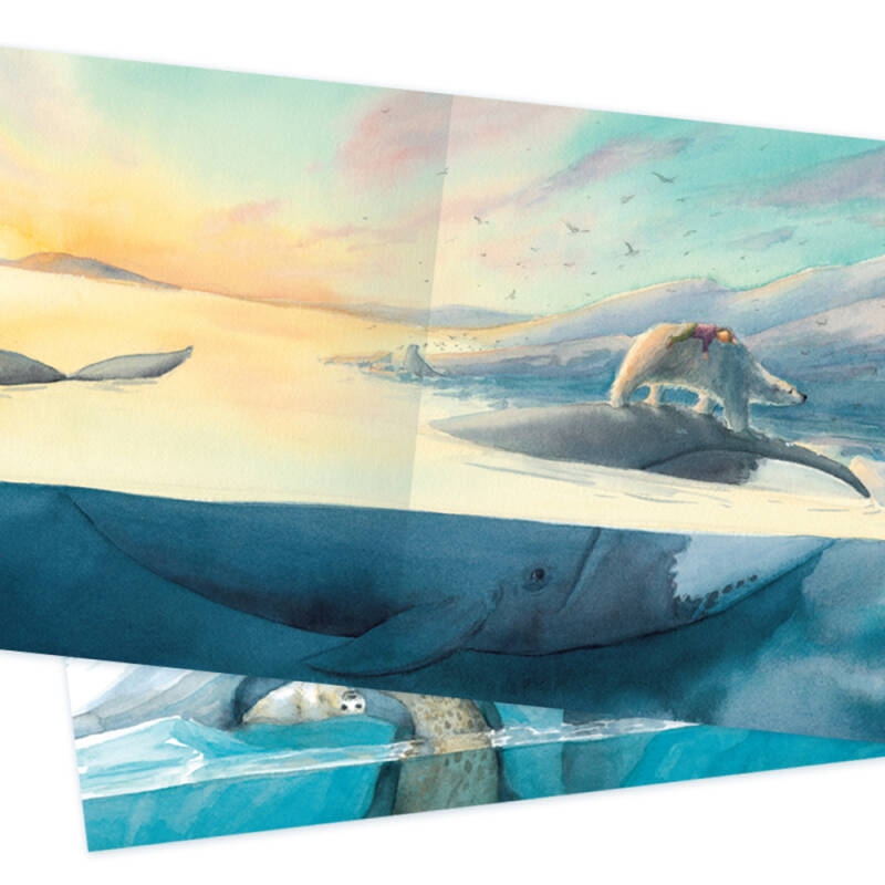 海豚双语绘本馆:北极熊报告(精)