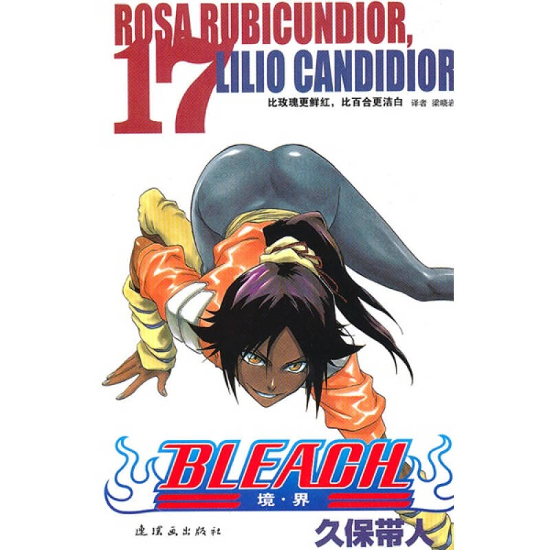 bleach 境·界17:比玫瑰更鲜红,比百合更洁白