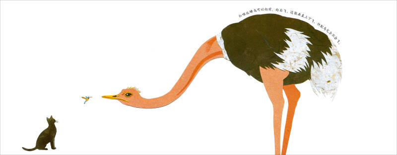 大块头与小不点