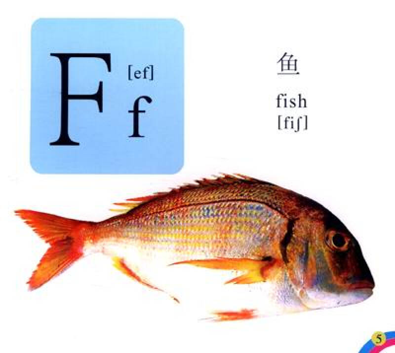 寶寶啟蒙認知大畫書:英文字母(提高篇)