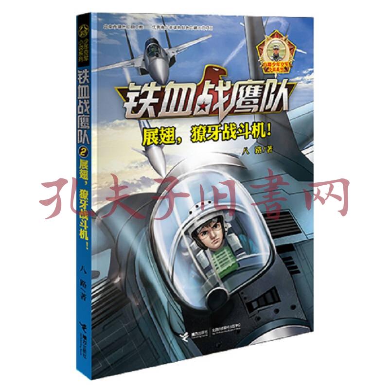 铁血战鹰队(套装共4册)