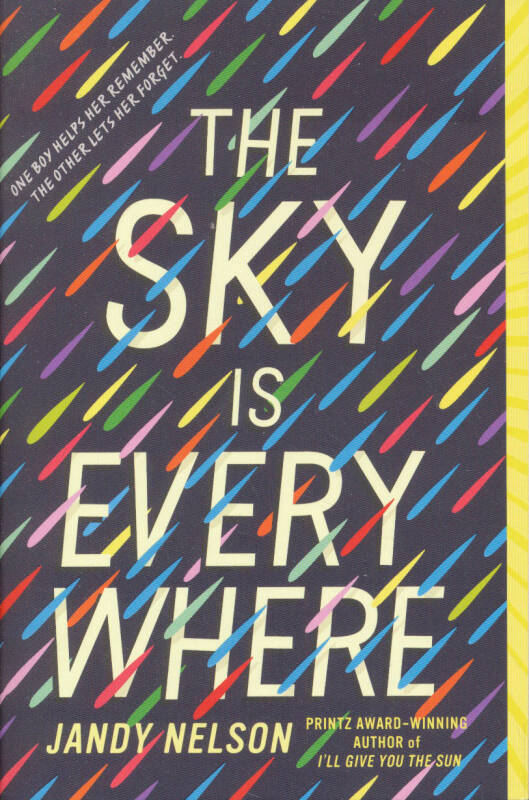 the sky is everywhere