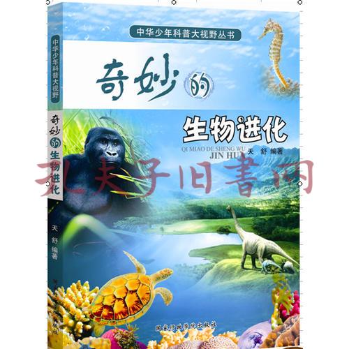 中华少年科普大视野丛书 奇妙的生物进化