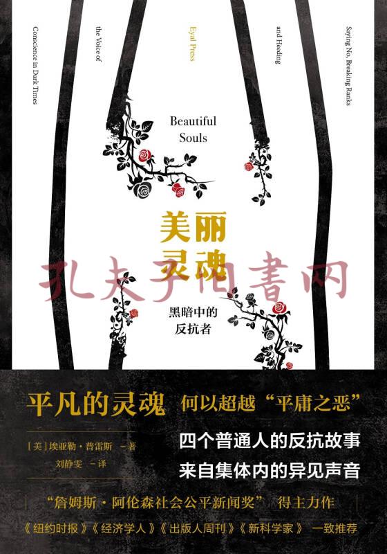 美丽灵魂:黑暗中的反抗者