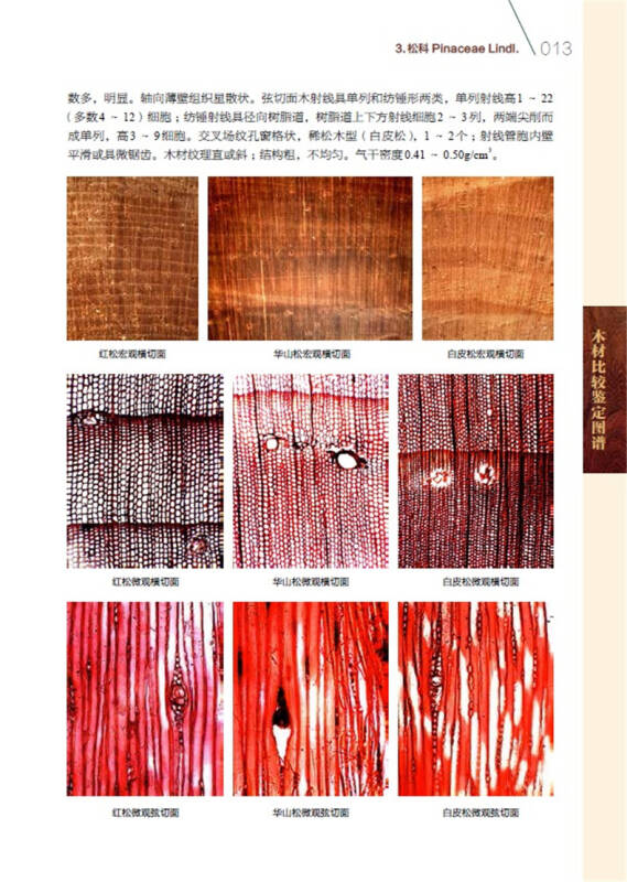 bp網(wǎng)絡(luò)神經(jīng)算法例題_bp神經(jīng)網(wǎng)絡(luò)的峰值預測中英文論文_bp神經(jīng)網(wǎng)絡(luò)原理及其在字符 1 識別中的應(yīng)用