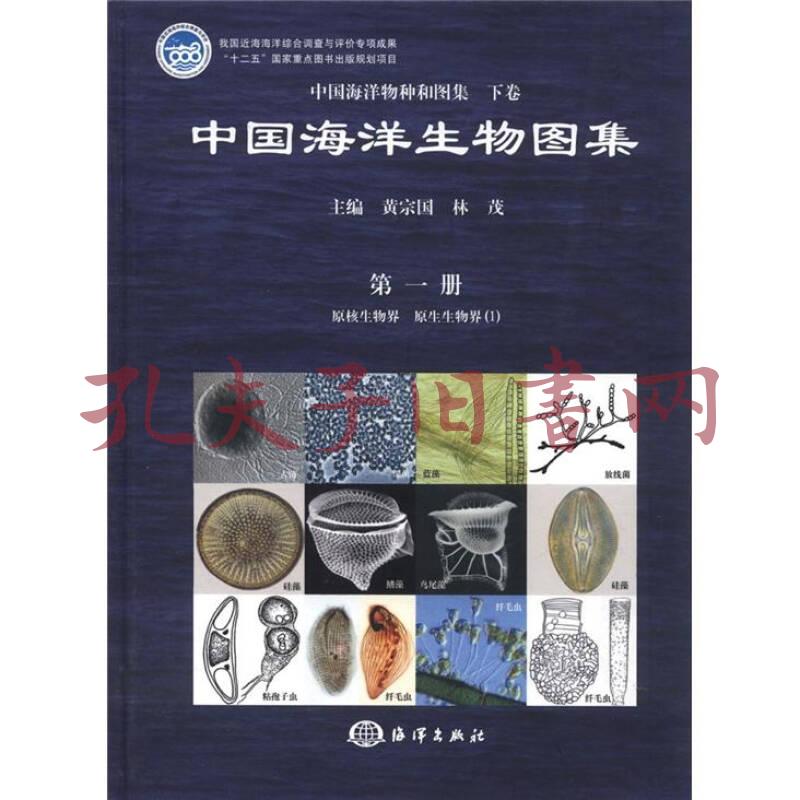 中国海洋物种和图集 下卷 中国海洋生物图集 第1册 原核生物界 原生生物界 1 孔夫子旧书网