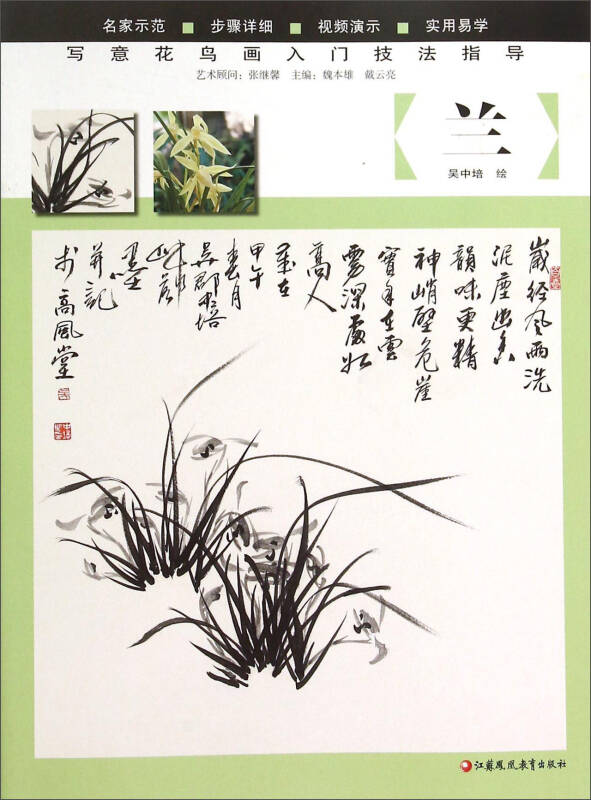 寫意花鳥畫入門技法指導:蘭