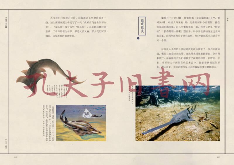 中国国家地理 海错图笔记·2