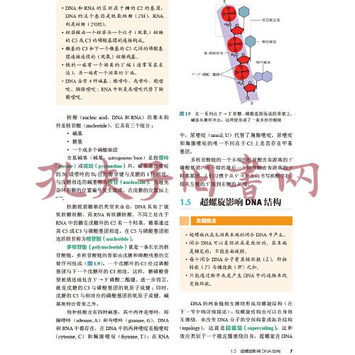 Lewin基因XII (Lewin\'s Genes XII, J.E.克雷布斯等著；江松敏译 )(孔网)