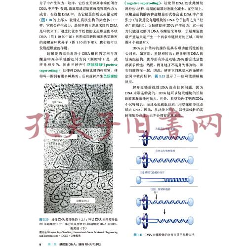 Lewin基因XII (Lewin\'s Genes XII, J.E.克雷布斯等著；江松敏译 )(孔网)