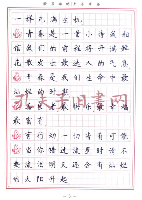 学生楷书实用字帖:青春寄语 楷书钢笔字帖