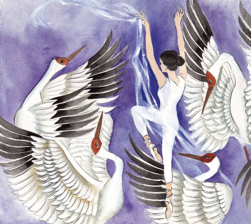 "最美中国"系列图画书:舞鹤