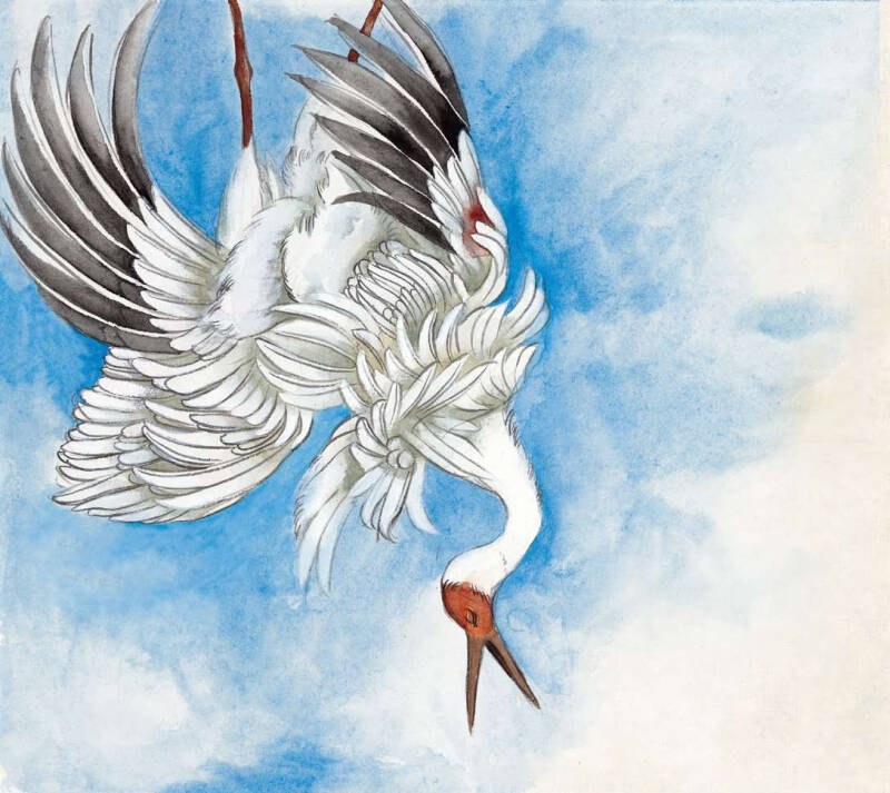 "最美中国"系列图画书:舞鹤