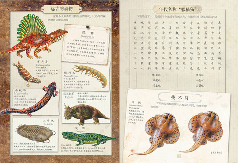 神奇动物档案·恐龙与其他史前动物