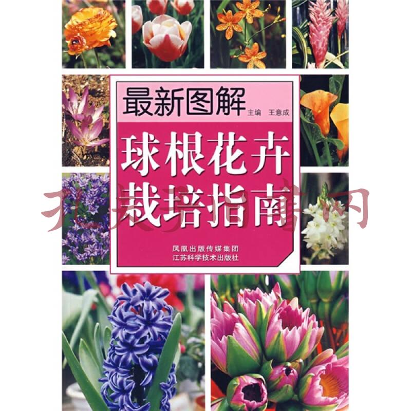 最新图解球根花卉栽培指南 王意成编 孔网
