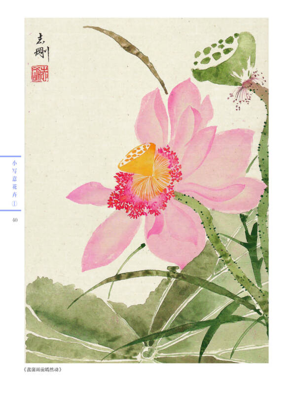 新编养心斋描摹画谱 小写意花卉1