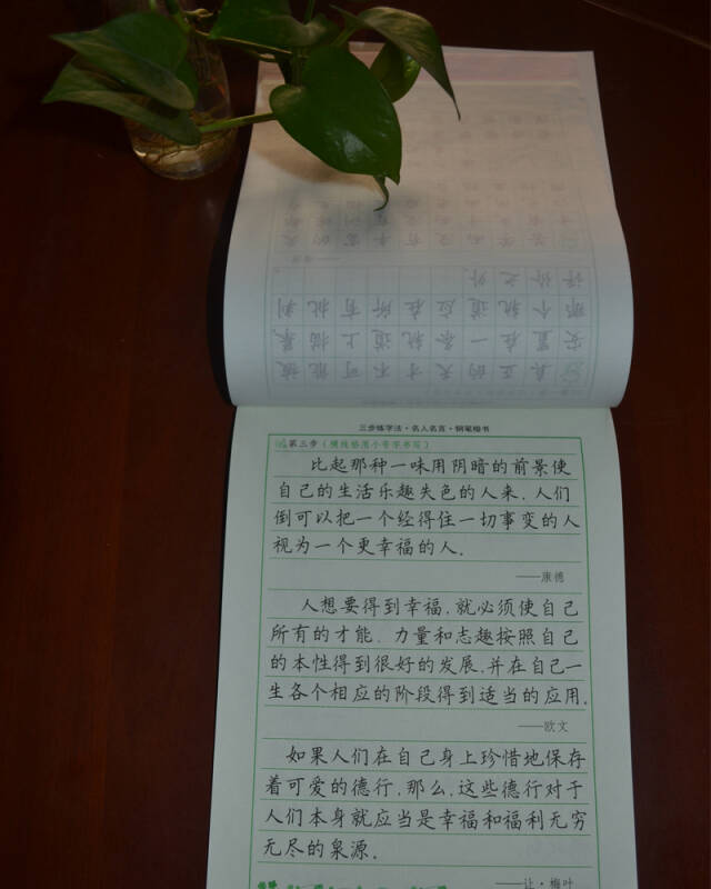 司馬彥字帖:三步練字法·名人名言·鋼筆楷書(描摹)