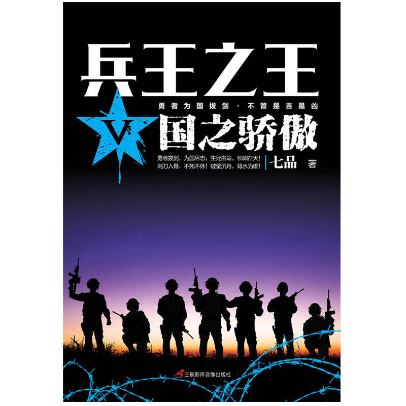 兵王之王Ⅴ:国之骄傲(孔网)