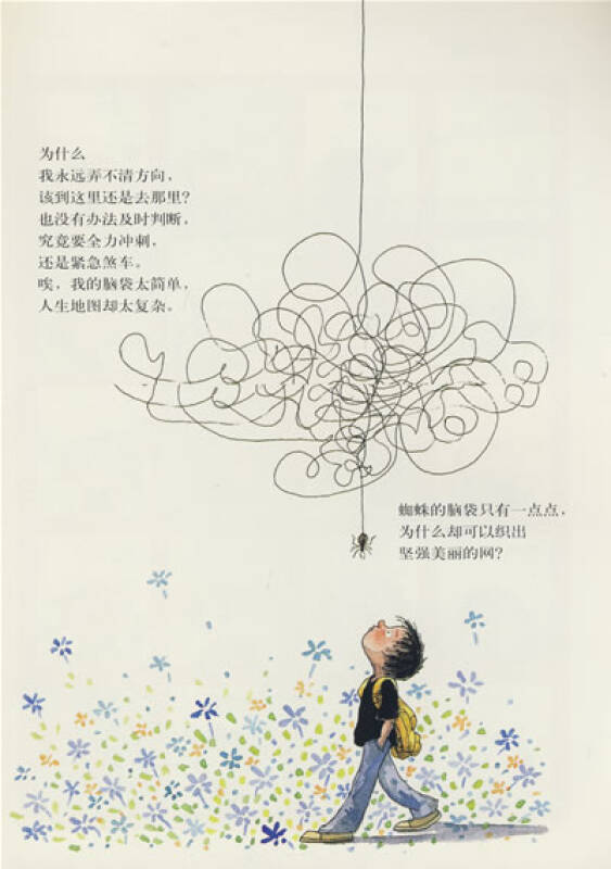 布瓜的世界