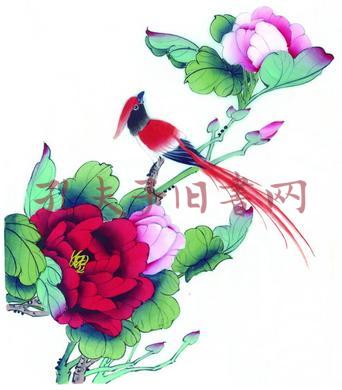 南京博物院珍藏古代花鸟画(徐湖平 编;罗志强 译)_简介_价格_收藏与