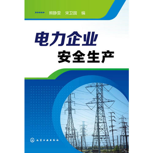 电力企业安全生产(宋卫国 编;熊静雯)_简介_价格_工程技术书籍_孔网